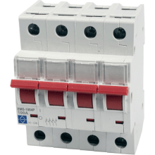 Lewden EMS-1004P Main Switch 4P 100A