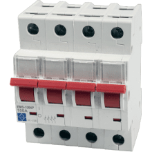 Lewden EMS-1253P Main Switch TP 125A